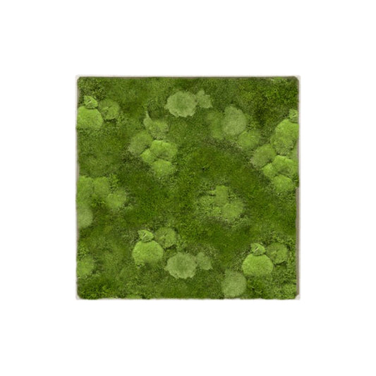 MuffleMoss | Square Wall Panel - Bun & Woodland