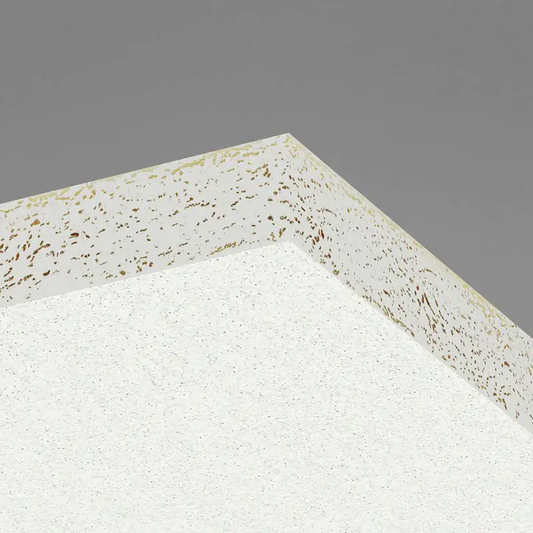 Ecophon - Ecophon Hygiene Performance™ A Acoustic Ceiling Tile - 600 x 600 x 40mm  (Pack of 20) - Muffle Acoustics Limited