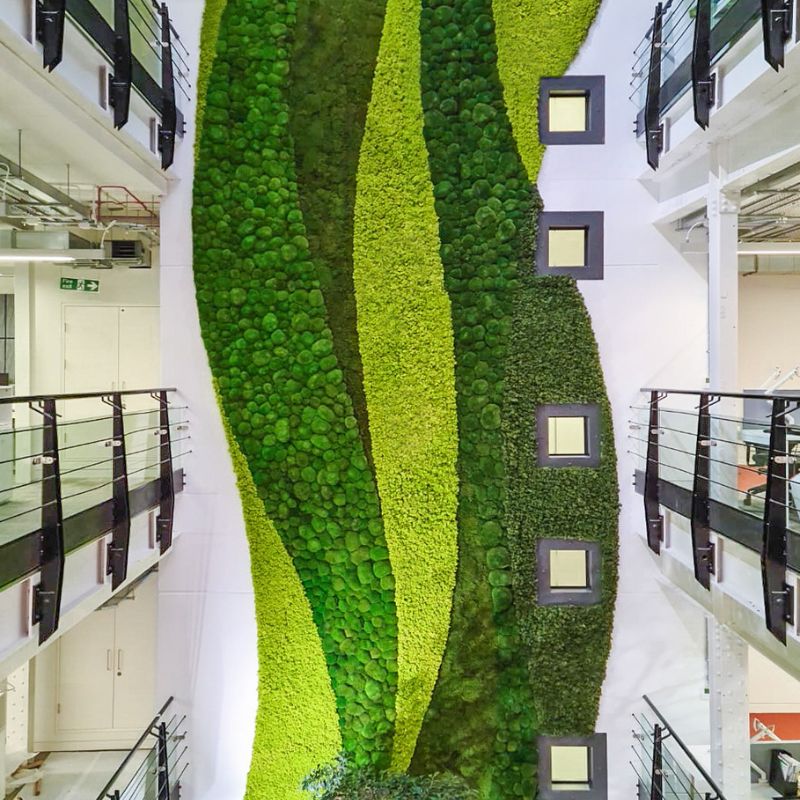 MuffleMoss | Bespoke Custom Wall Moss Installation