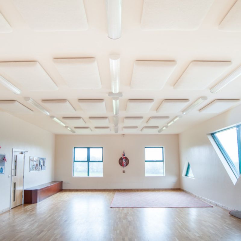 The Woolly Shepherd | Wellington Acoustic Panel