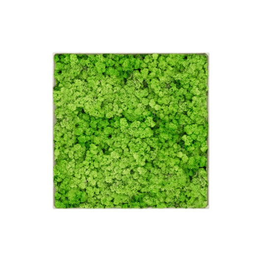 MuffleMoss | Square | Wall Panel - Reindeer