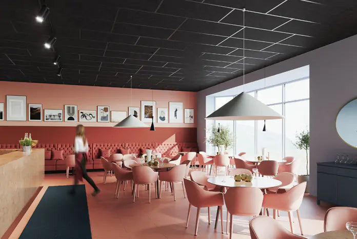 - Ecophon Sombra - Muffle Acoustics Limited